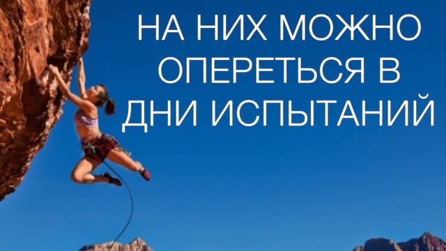 Почему компаниям важно знать свои ценности смотреть онлайн