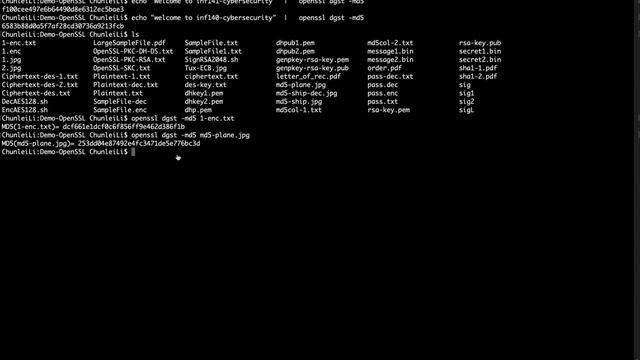 OpenSSL Demo Hash смотреть онлайн