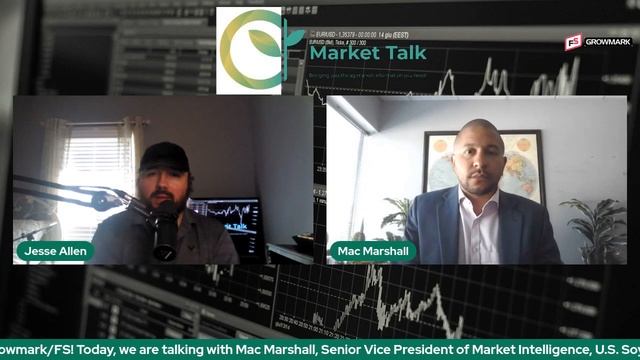 Discussing the Soybean Market After the USDA June Reports смотреть онлайн