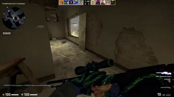 До прайма с софтом #1 [SHARK HACK]