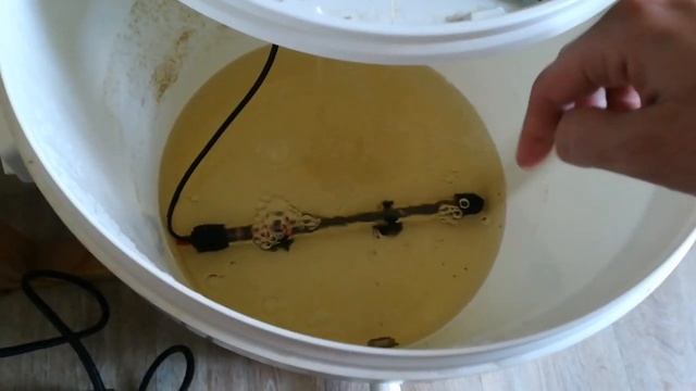 Домашнее мини УЗВ - немного про новых обитателей. смотреть онлайн