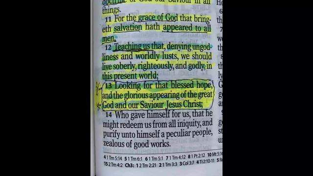 Rapture Dream - New Moon - Feast of Trumpets Connection? смотреть онлайн