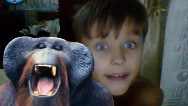 webcammax 7.7.7.8 способности смотреть всем это прикол смотреть онлайн