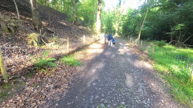 We Rescue A Trapped Deer - Telford Ultimate Guide Walks 26.06.22 смотреть онлайн