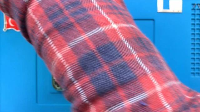 iPhone 11 Arka Kamera Değişimi 🇹🇷 смотреть онлайн
