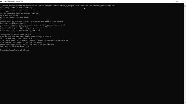 Using the Denodo TLS Configurator Script смотреть онлайн
