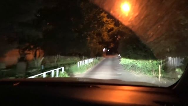 Влог Я ВЕРНУЛАСЬ !!! Выбираем НОВОГО реборна для Алисы ! Канал Мили Ванили смотреть онлайн