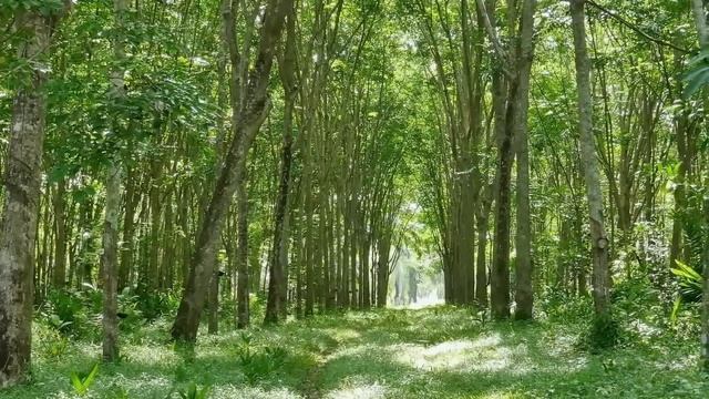 "Доброта". 25 октября. День за днем в Ал-анон. Ежедневник для созависимых. смотреть онлайн