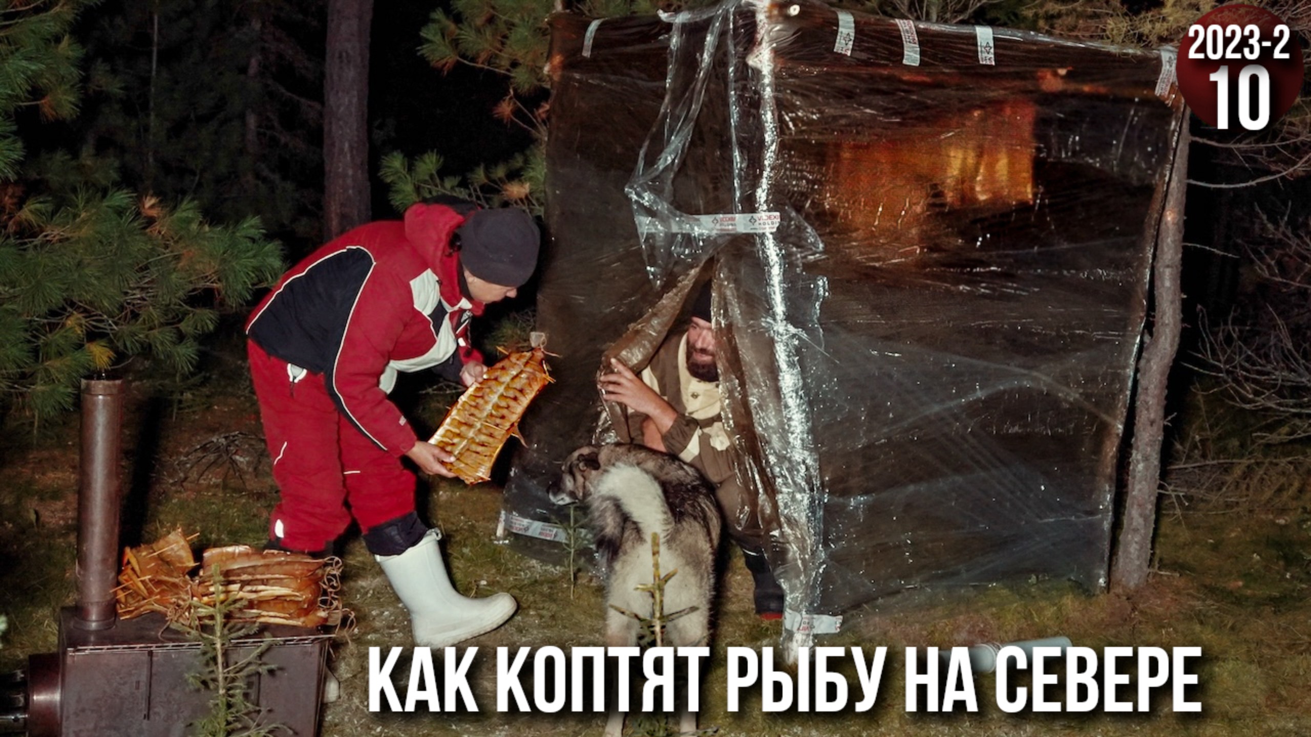 Холодное копчение рыбы в таежных условиях - хариус и щука. Жизнь в тайге Приполярного Урала. 10с смотреть онлайн