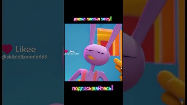 джэкс словил жизу