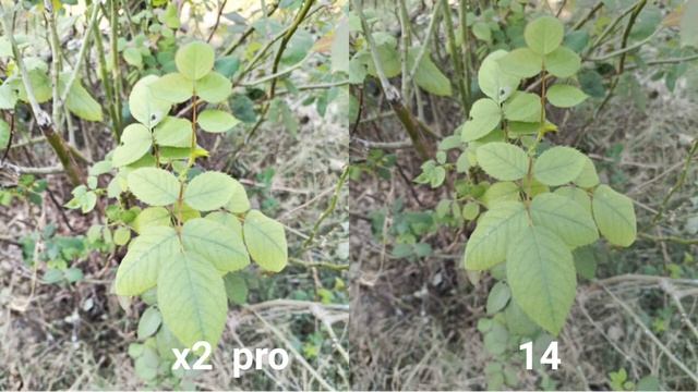 tecno phantom x2 pro 5g vs iPhone 14 camera test смотреть онлайн