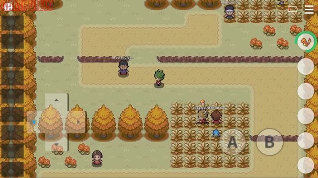 PokeMMO - 
