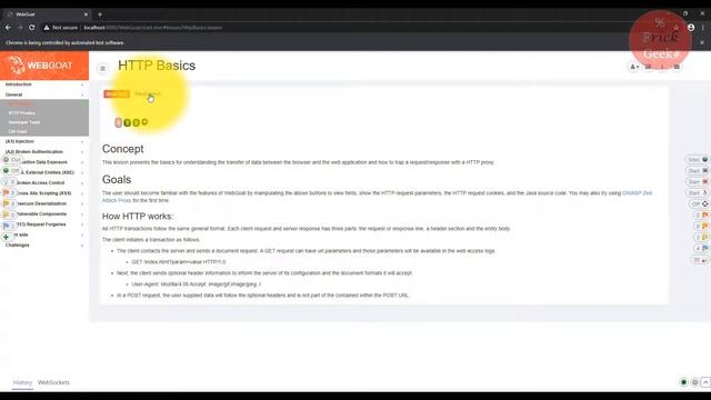 OWASP WebGoat Http Basics with ZAP tool смотреть онлайн