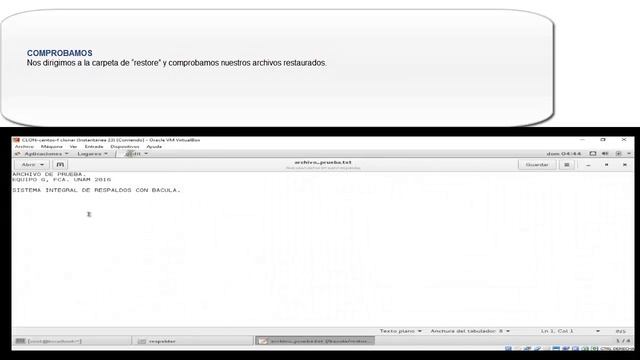 Sistema Integral de Respaldos con Bacula смотреть онлайн