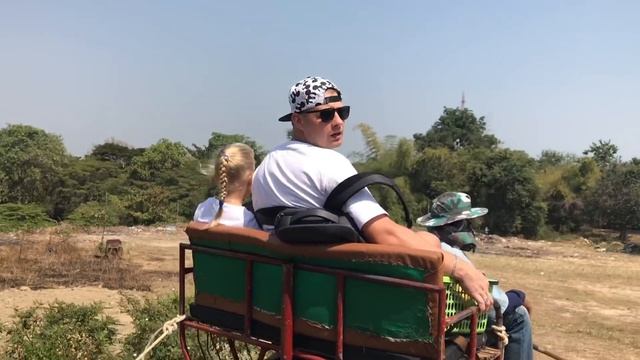 Алиса кормит СЛОНОВ бананами ! НЕЗАБЫВАЕМОЕ приключение !!! смотреть онлайн