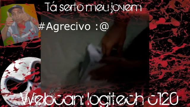 Unboxing Webcan logitech c120 - Jovem evoluindo e investindo!!! -D смотреть онлайн