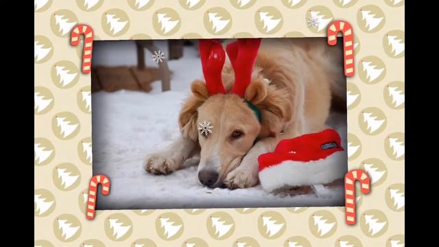 FotoDream - Photo Video Slideshow Screensaver - Christmas scene - Android [8] смотреть онлайн