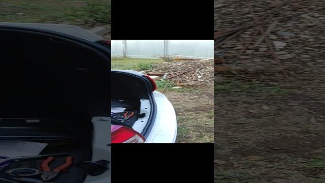 парктроник