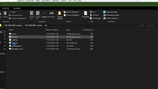 Windows 10 CVE-2020-0601 | Windows CryptoAPI Spoofing Vulnerability смотреть онлайн