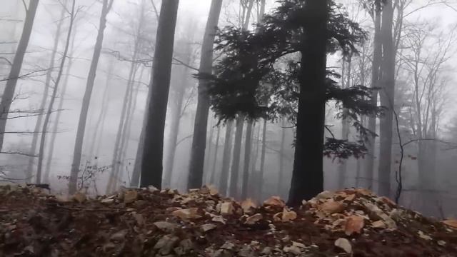 6 True Scary Stories To Keep You Up At Night (Horror Compilation W/ Rain Sounds) смотреть онлайн
