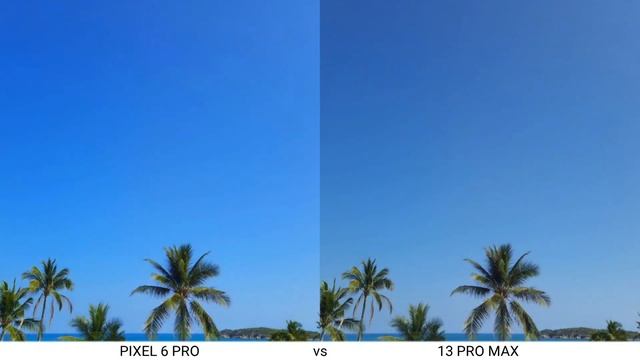 Google Pixel 6 Pro vs iPhone 13 Pro Max Camera Test смотреть онлайн