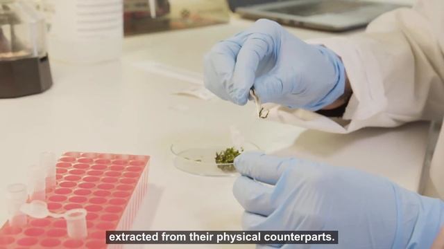 DiSSCo - An Open Window to Our Planet's Natural Diversity смотреть онлайн