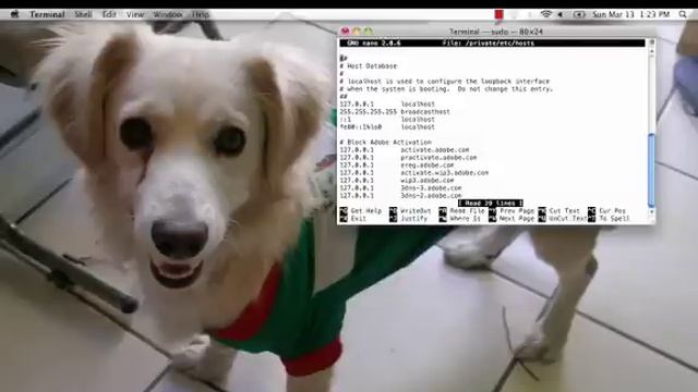 How To Edit Host Files on Mac смотреть онлайн