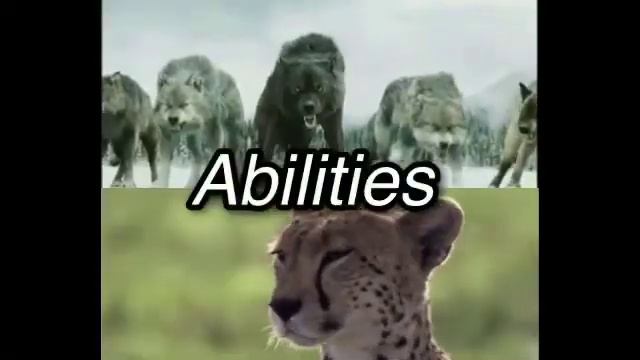 Wolf VS Cheetah смотреть онлайн