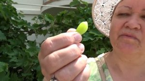 ВЛОГ Мама кормит нас пельмешками! Едем в Краснодар к Масе !