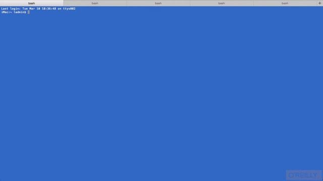 Mac OS X from the Command Line Tutorial | Tabs, Windows Sessions And Split Panes смотреть онлайн