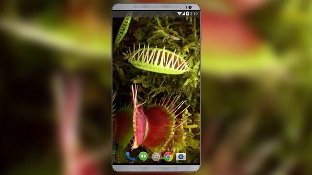 Venus Fly Trap Live Wallpaper смотреть онлайн