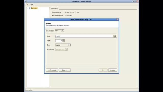 Creating a Domain with JSCAPE MFT Server смотреть онлайн