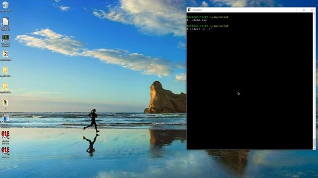 The Collabora OLE Automation Tool (COLEAT) смотреть онлайн