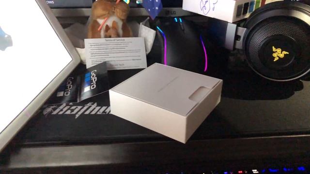 Unboxing Apple AirPods and iSmile Silicone Protective Case смотреть онлайн