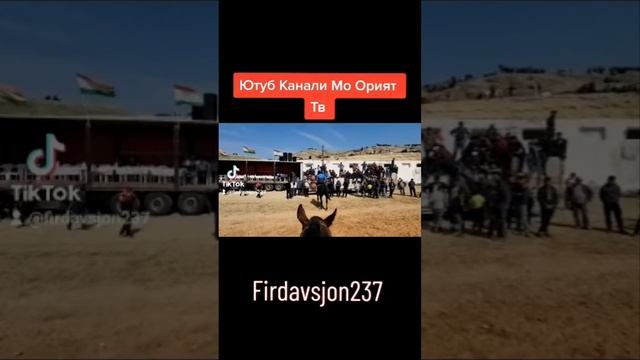 15 03 2023 бузкаши Хучанд Саидназир полвон Хучахо номи асп Лукзар ако Абдуворис шахри Истаравшан смотреть онлайн