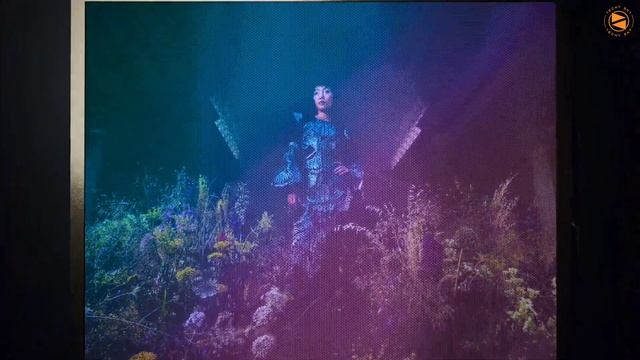 iPhone 14 Series First Look | Full Specifications | Pill Shape Notch | Always On Display🔥🔥🔥 смотреть онлайн