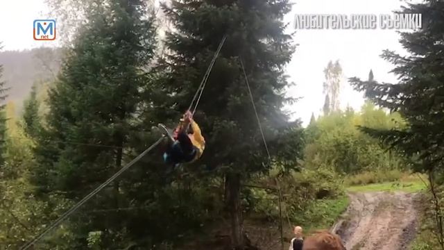 167 школьников, родителей и педагогов одновременно нагрянули в Лужбу смотреть онлайн