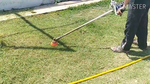 Best grass cutting machine for animals And garden смотреть онлайн