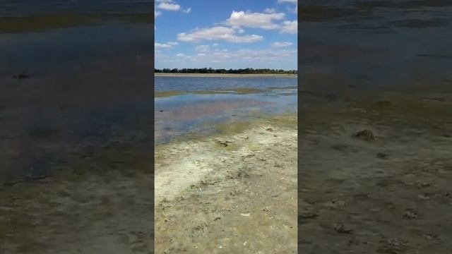 Молочный лиман Гирсовка. смотреть онлайн