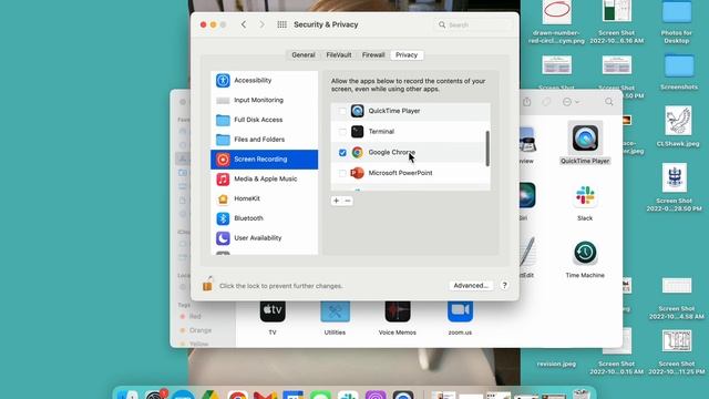 Screen Recording Permissions for Chrome (Google Meet) смотреть онлайн