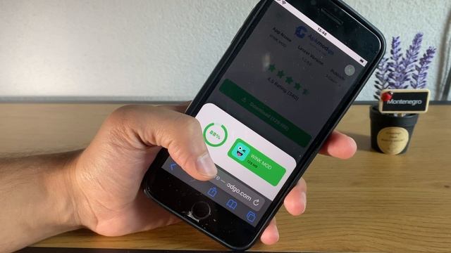 WINK MOD iOS Android (2023) смотреть онлайн