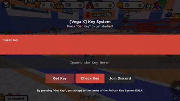 How to Install & Use Vega X Executor on Mobile | Get Key, Android