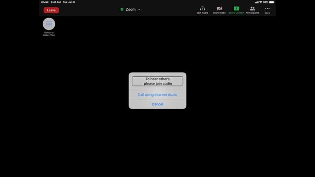 AT Boot Camp - Attending Zoom with iOS and VoiceOver смотреть онлайн