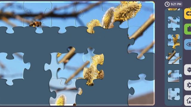 Relax Puzzles. Salis Caprea. смотреть онлайн