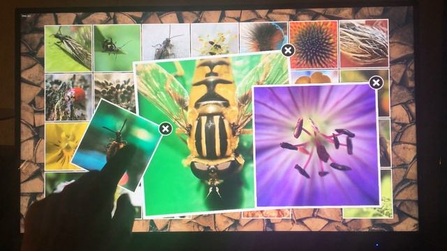 openFL/Haxe Multitouch Photo Viewer смотреть онлайн