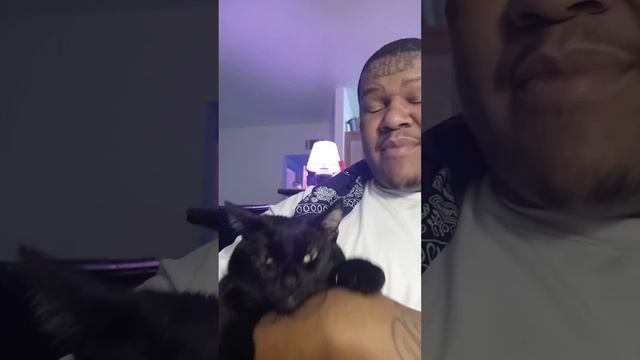 Famous 55 Crip The Story Of Hkow Mac'ee Became SHANTE 🐱 смотреть онлайн