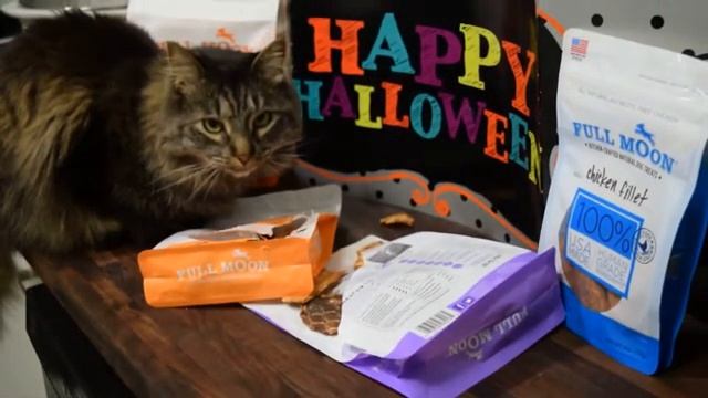 A Full Moon Monster in the House-MyDogLikes смотреть онлайн
