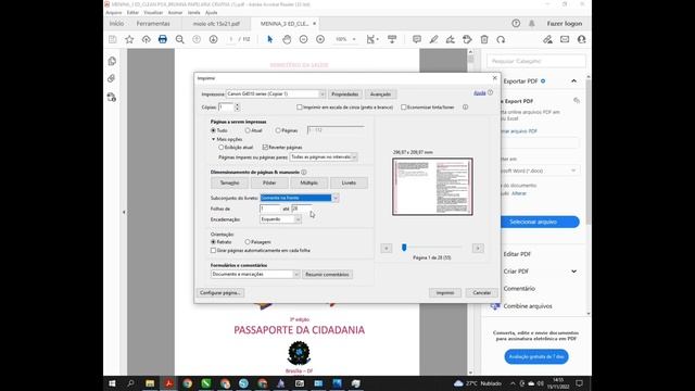 COMO IMPRIMIR MIOLO NO MODO LIVRETO - PASSO A PASSO смотреть онлайн