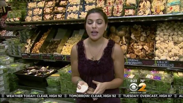 Tip Of Day: Mushrooms смотреть онлайн