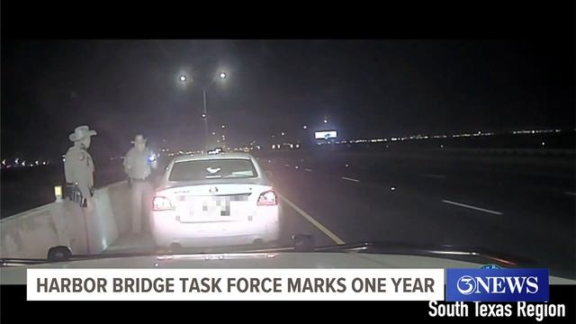 One year with the Harbor Bridge Task Force смотреть онлайн